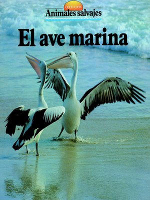 cover image of El ave marina